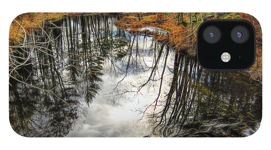 Stream iPhone 12 Case featuring the photograph Stream in Granby by Cordia Murphy
