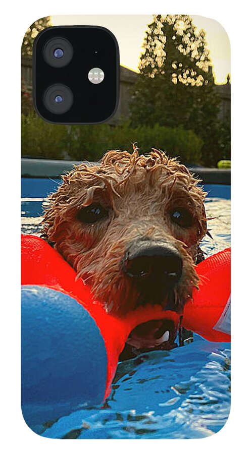 Goldendoodle iPhone 12 Case featuring the photograph Suburban Aqua Fetch by Lee Darnell