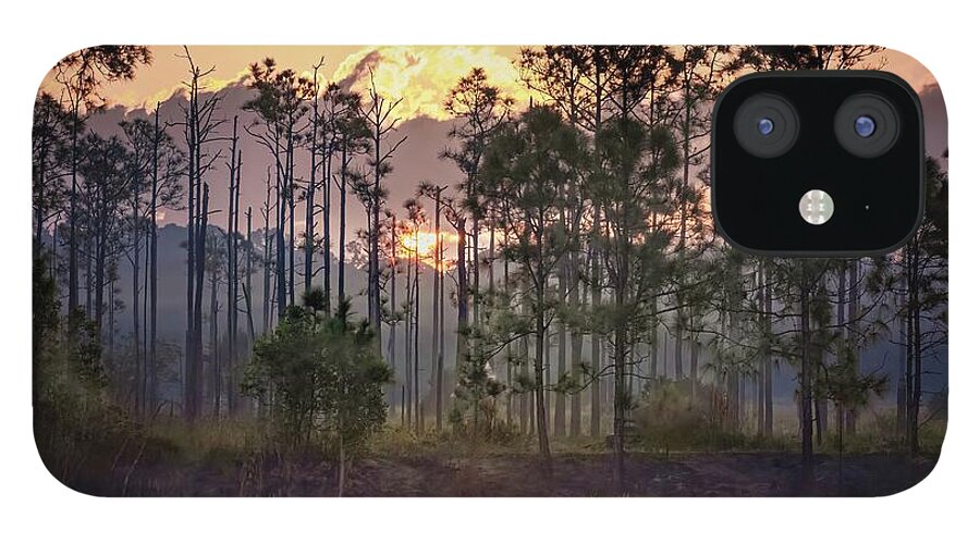 Sunrise Florida Everglades iPhone 12 Case featuring the photograph Sunrise Over Florida Everglades by Rebecca Herranen