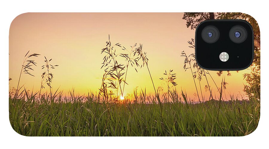 Trexler iPhone 12 Case featuring the photograph Sunset Through the High Grass by Jason Fink