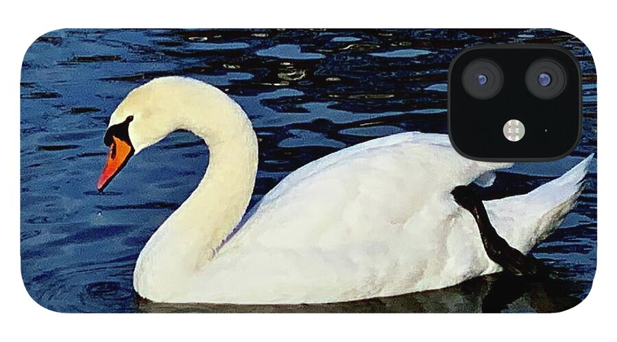 iPhone 12 Case featuring the photograph Swan by Dennis Richardson