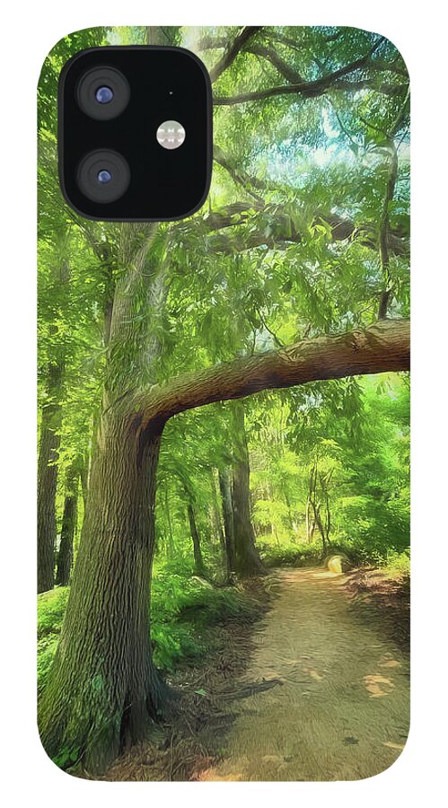 Narrow Path iPhone 12 Case featuring the photograph Take the Narrow Path by Michael Frank