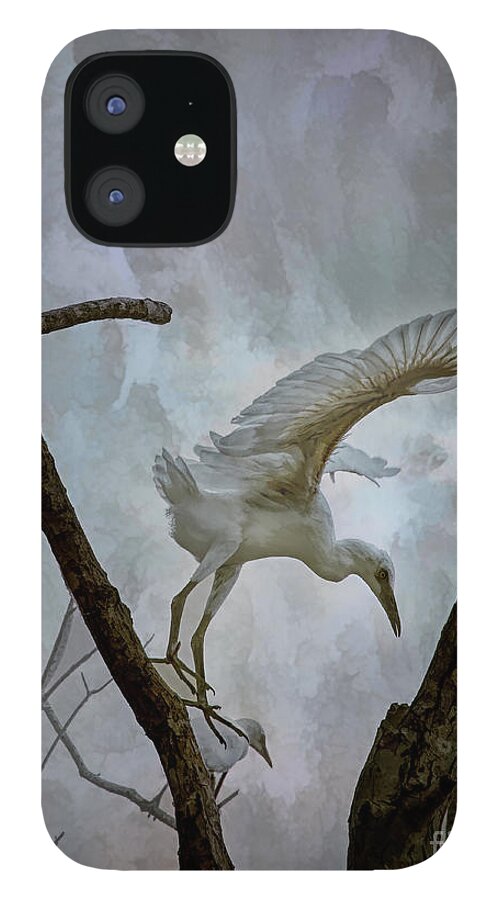 Louisiana iPhone 12 Case featuring the photograph Taking Flight by Neala McCarten