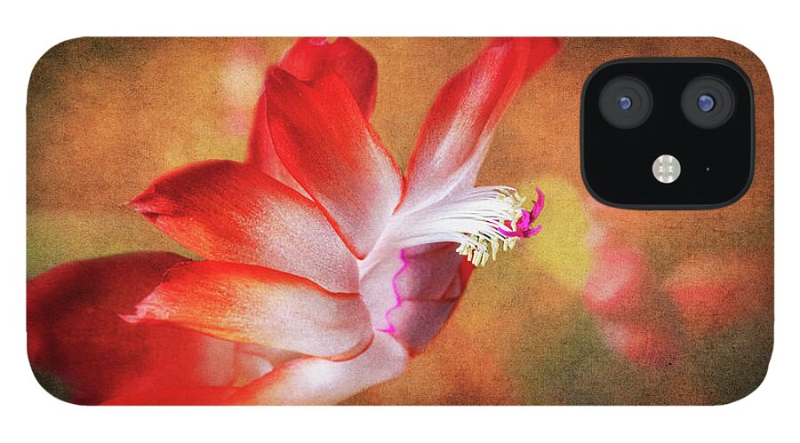 Thanksgiving Flower iPhone 12 Case featuring the photograph Thanksgiving Cactus Flower by Michael McKenney