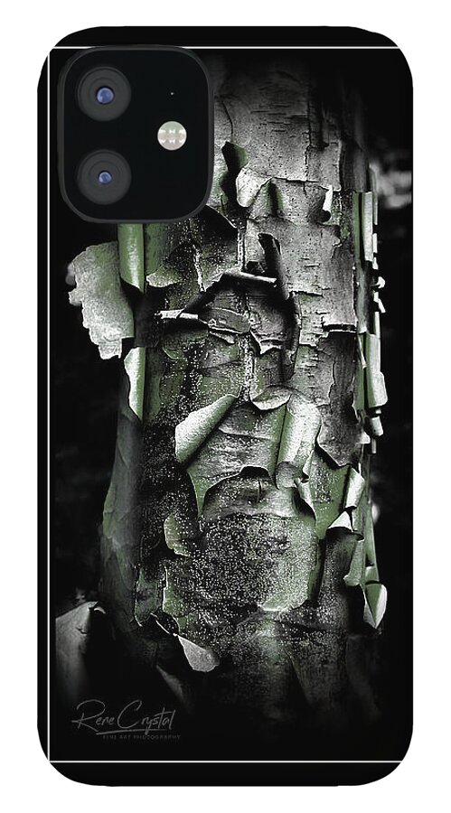Maple Tree iPhone 12 Case featuring the photograph The Abstract Of Maple by Rene Crystal