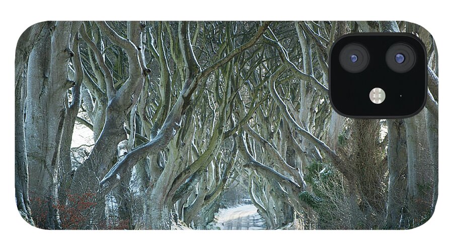 Northern Ireland iPhone 12 Case featuring the photograph The Dark Hedges, North Ireland, UK by Sarah Howard