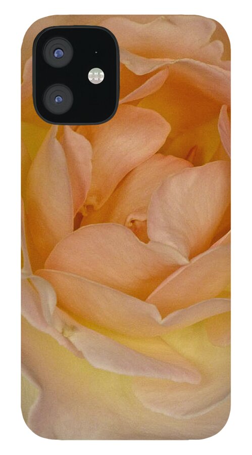 Flowers iPhone 12 Case featuring the photograph The Delicate Unfolding by Amelia Racca