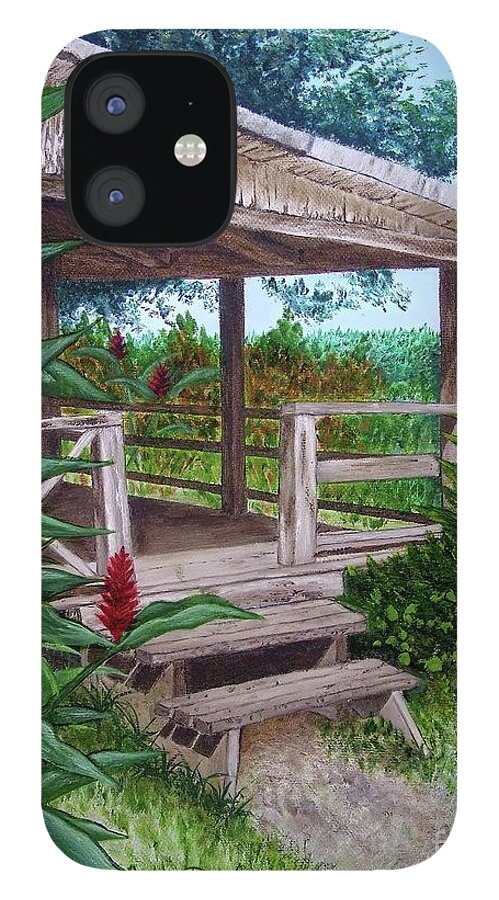 House iPhone 12 Case featuring the painting The Lanai by Mary Deal