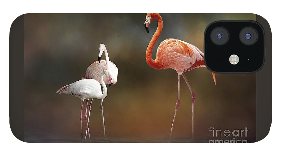 Flamingo Gardens iPhone 12 Case featuring the photograph Three Flamingos by Ed Taylor