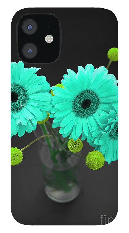 Floral iPhone 12 Case featuring the photograph Three Gerbers--Turquoise by Renee Spade Photography