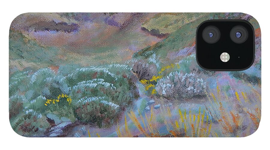 New Mexico iPhone 12 Case featuring the painting Trailside Wash by Mike Kling