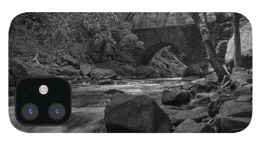Trees iPhone 12 Case featuring the photograph Trees along the Rockaway River #2 by Alan Goldberg