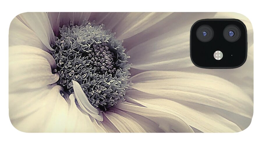 Nature iPhone 12 Case featuring the photograph Veil of the Sun Blue Ice update by Darlene Kwiatkowski