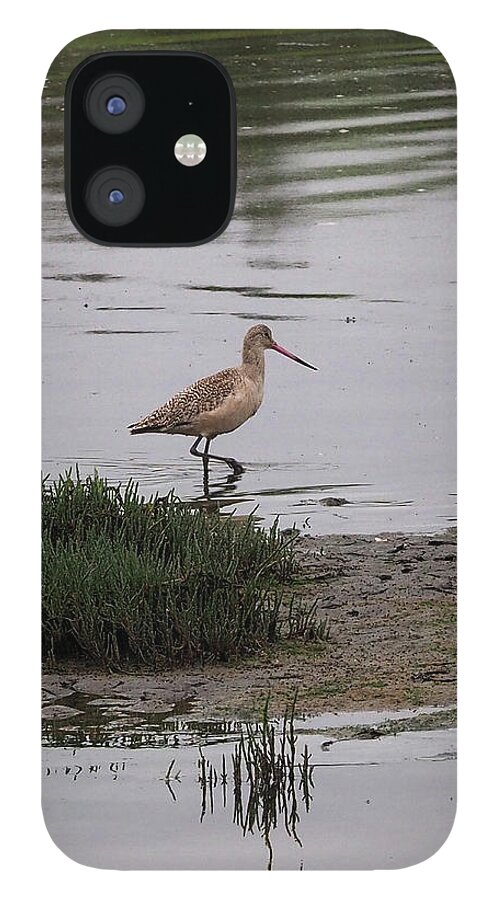 Bird iPhone 12 Case featuring the photograph Wading Bird in the Elkhorn Slough by James C Richardson