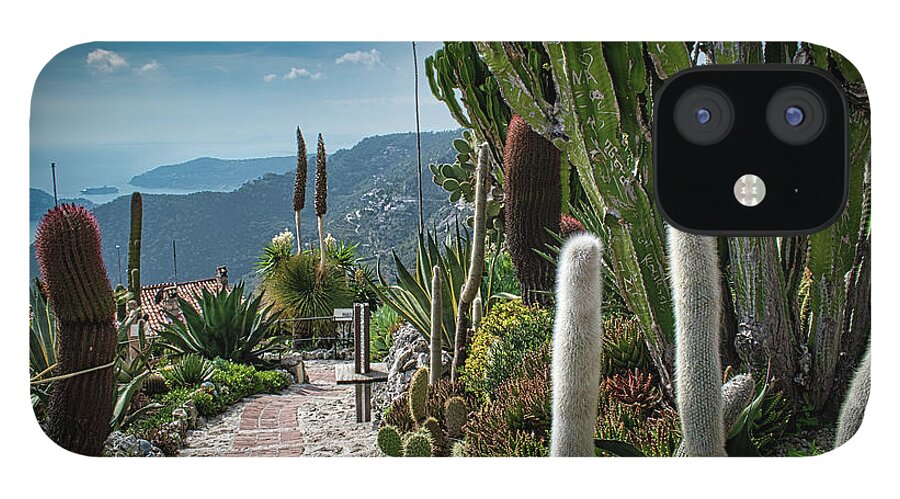 Cactus iPhone 12 Case featuring the photograph Walk along the Garden of Eze by Portia Olaughlin