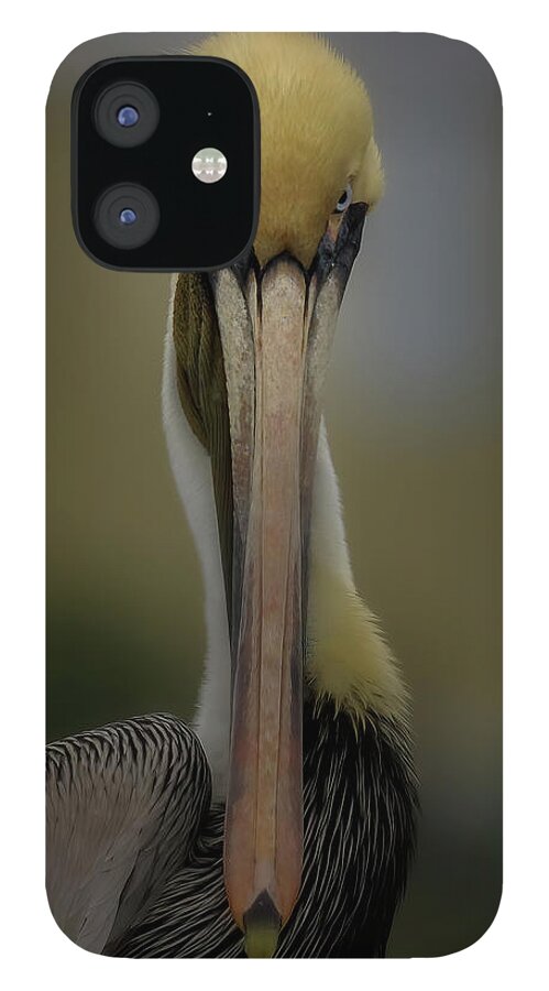 Pelican iPhone 12 Case featuring the photograph What's Up by JASawyer Imaging