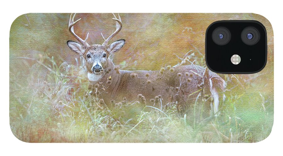 Whitetail iPhone 12 Case featuring the photograph Whitetail Buck Painterly Autumn by Patti Deters