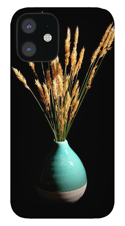 Grass iPhone 12 Case featuring the photograph Wild Grasses in Teal Ceramic Vase by Charles Floyd