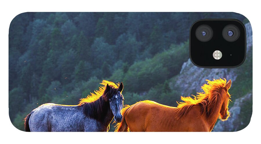 Balkan Mountains iPhone 12 Case featuring the photograph Wild Horses by Evgeni Dinev