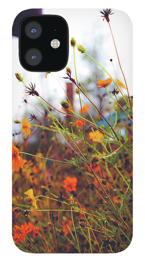 Mountain iPhone 12 Case featuring the photograph Wildflower Medley by Go and Flow Photos
