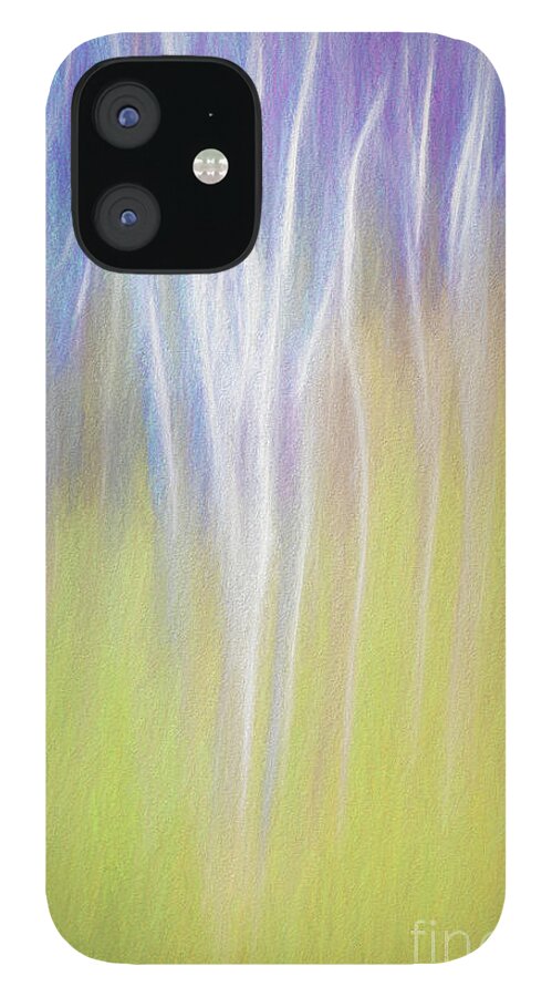 Niagara iPhone 12 Case featuring the photograph Winter Birch by Marilyn Cornwell