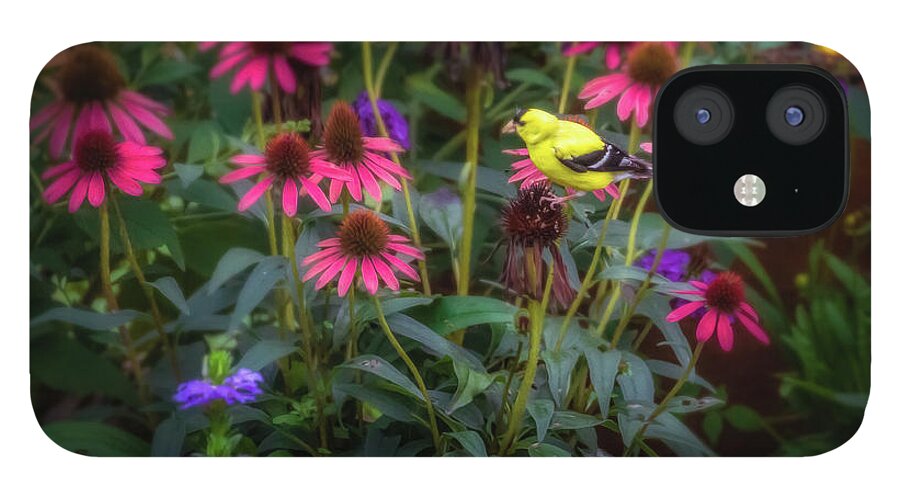 Finch iPhone 12 Case featuring the photograph Yellow Finch by Allin Sorenson