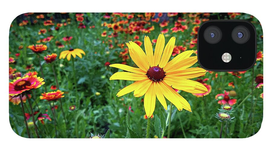 Yellow Flower Field Green Red iPhone 12 Case featuring the photograph Yellow Flower in Field by David Morehead