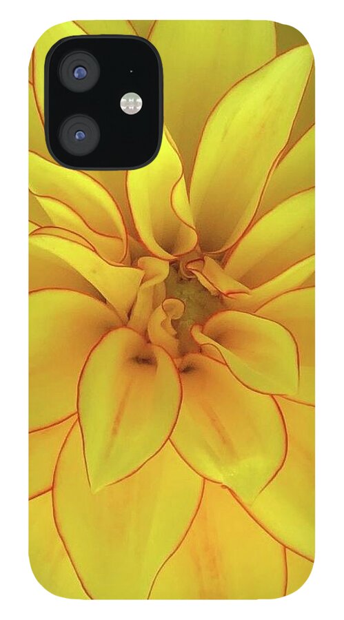 Flower iPhone 12 Case featuring the photograph Yellow Sun by Wendy Golden
