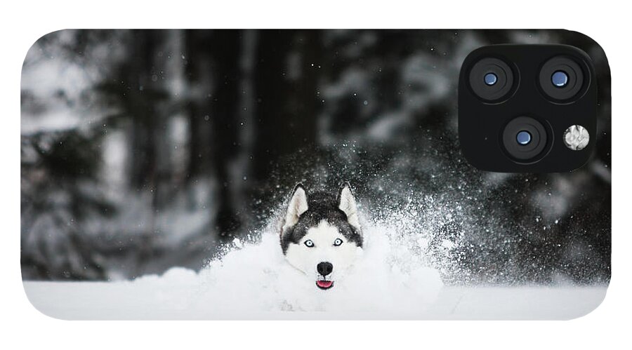 Siberian Husky Is Running In The Snow iPhone 12 Pro Max Case