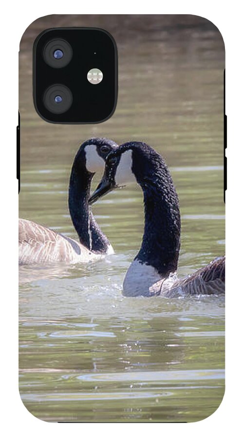 Canada Geese iPhone 12 Tough Case featuring the photograph Mi Amor - Canada Geese Mating Ritual by Susan Rissi Tregoning