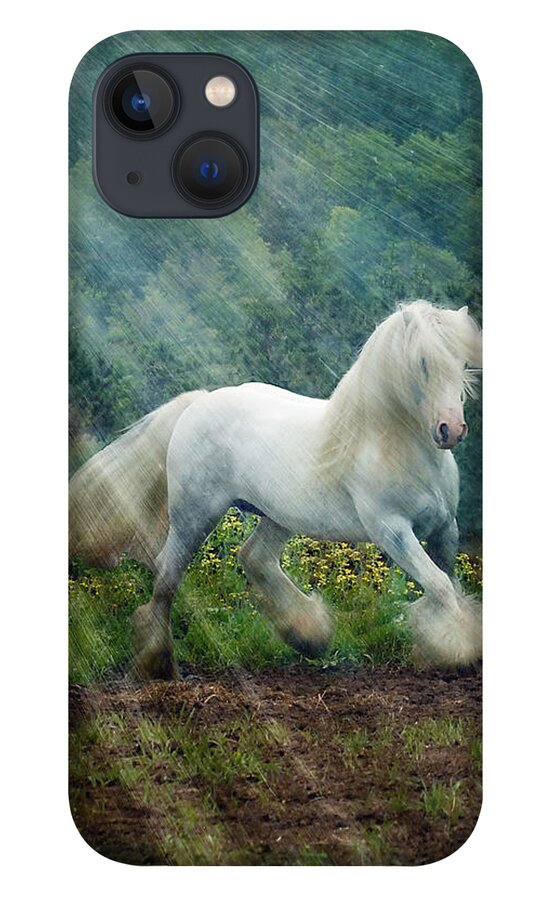 Horse Photographs iPhone 13 Case featuring the photograph Billy Rays by Fran J Scott