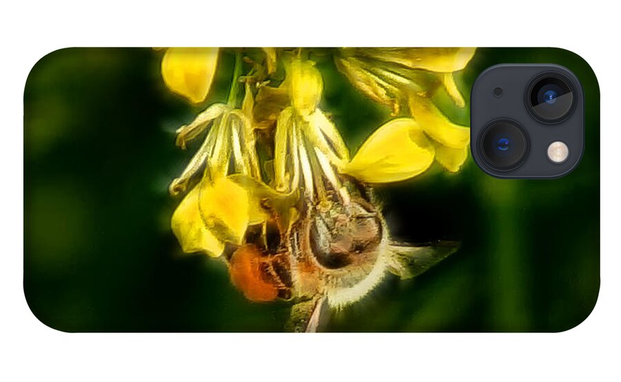 Bee iPhone 13 Case featuring the photograph Busy Bee #1 by Lucy VanSwearingen