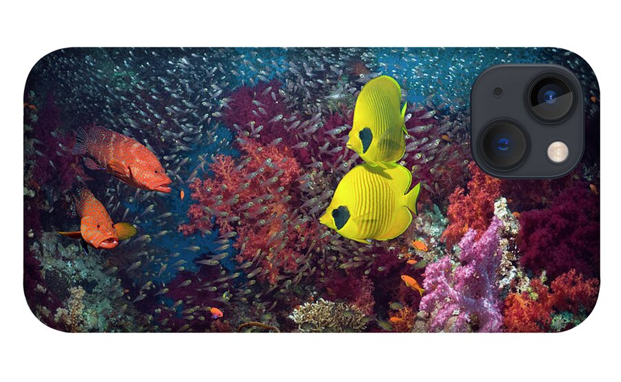 Pygmy Sweeper iPhone 13 Case featuring the photograph Coral Reef With Fish #1 by Georgette Douwma