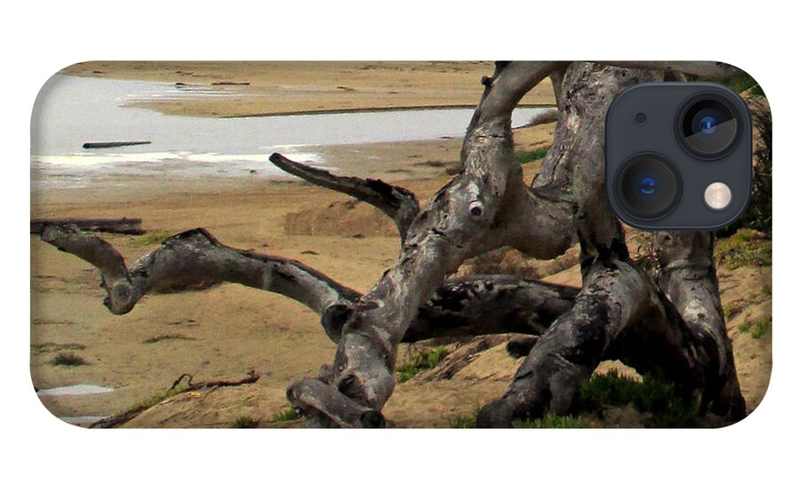 Gnarley Tree iPhone 13 Case featuring the photograph Gnarley Tree #1 by Barbara Snyder