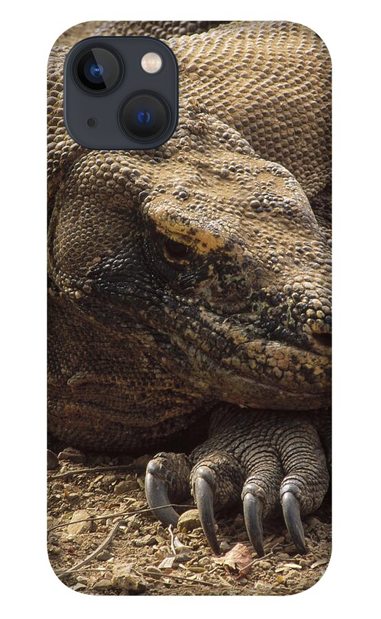 Feb0514 iPhone 13 Case featuring the photograph Komodo Dragon Male Basking Komodo Island #1 by Tui De Roy