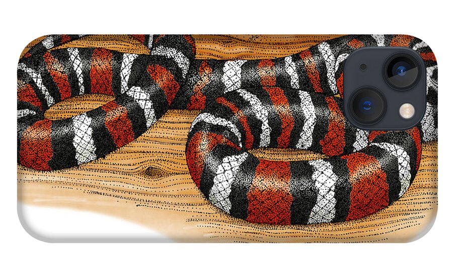 Art iPhone 13 Case featuring the photograph Mountain Kingsnake by Roger Hall