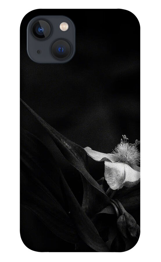Black And White iPhone 13 Case featuring the photograph Ozark Spiderwort Near Broadwater Falls by Michael Dougherty