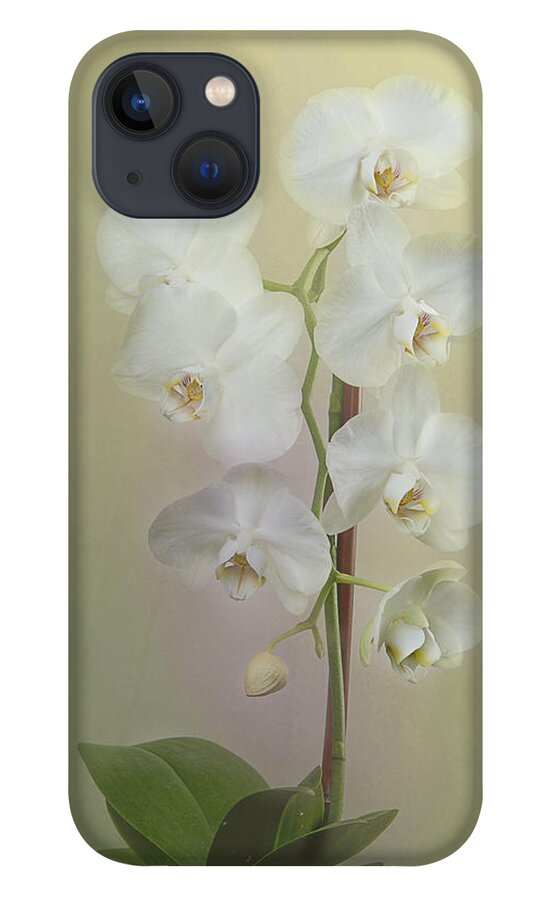 Phalaenopsis iPhone 13 Case featuring the photograph Phalaenopsis #1 by Carol Erikson