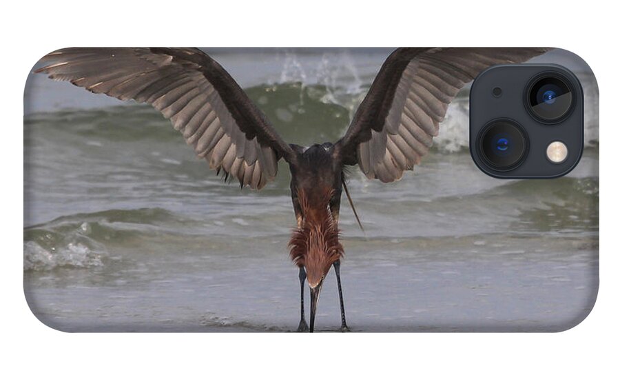 Reddish Egret iPhone 13 Case featuring the photograph Reddish Egret Fishing #1 by Meg Rousher