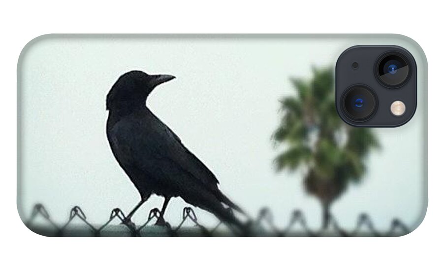 Crow iPhone 13 Case featuring the photograph Silhouette by Denise Railey