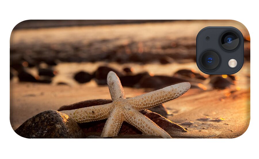Starfish iPhone 13 Case featuring the photograph Starfish on the beach at sunset #1 by Michal Bednarek