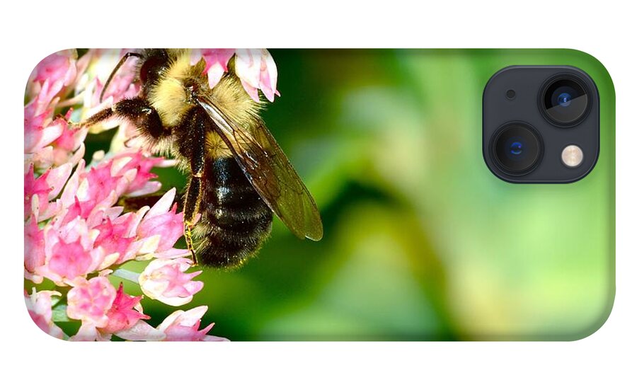 Bee Macro iPhone 13 Case featuring the photograph Working Hard #1 by Dan Hefle