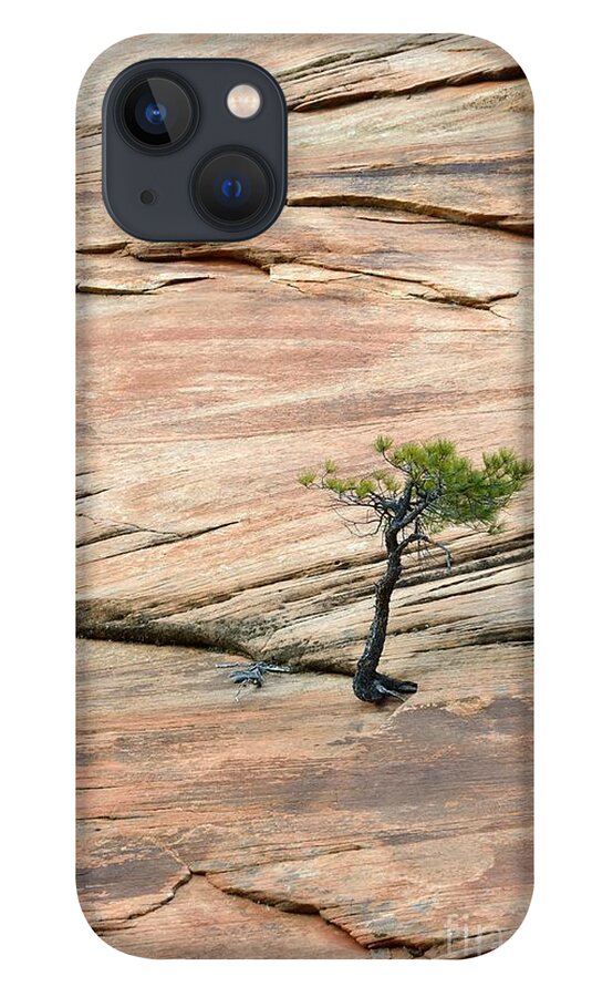 Zion iPhone 13 Case featuring the photograph Zion #19 by Marc Bittan