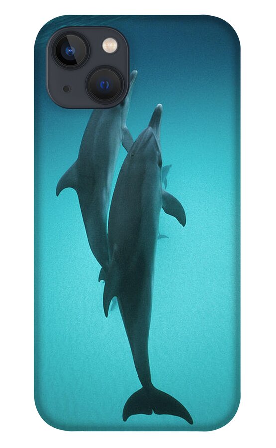 Feb0514 iPhone 13 Case featuring the photograph Atlantic Spotted Dolphin Pair Bahamas by Flip Nicklin