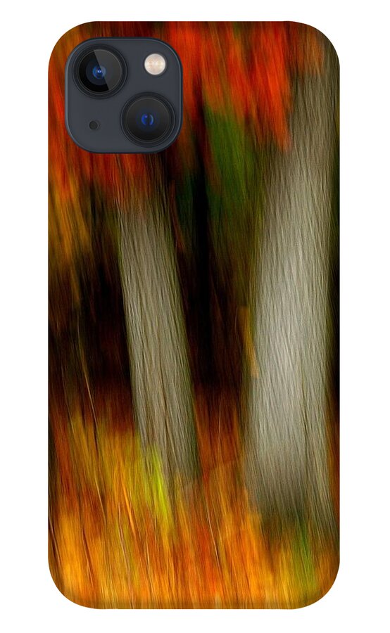 Woods iPhone 13 Case featuring the photograph Blazing in the Woods #2 by Randy Pollard
