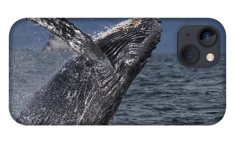 Hiroya Minakuchi iPhone 13 Case featuring the photograph Humpback Whale Breaching Prince William #2 by Hiroya Minakuchi