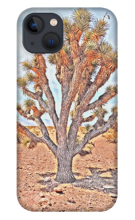 Joshua Tree iPhone 13 Case featuring the photograph Joshua Tree-Nineteenth of July #3 by Andrew Chambers