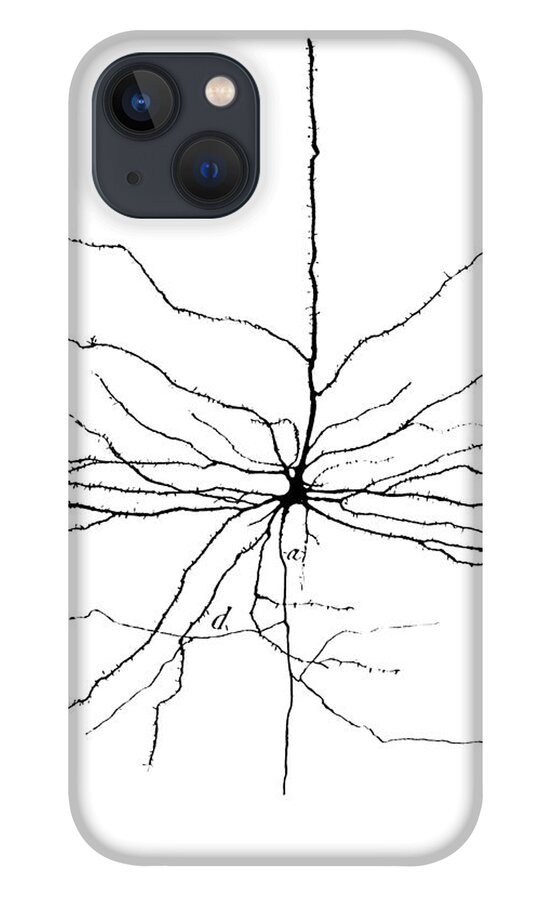 Pyramidal Cell iPhone 13 Case featuring the photograph Pyramidal Cell In Cerebral Cortex, Cajal by Science Source