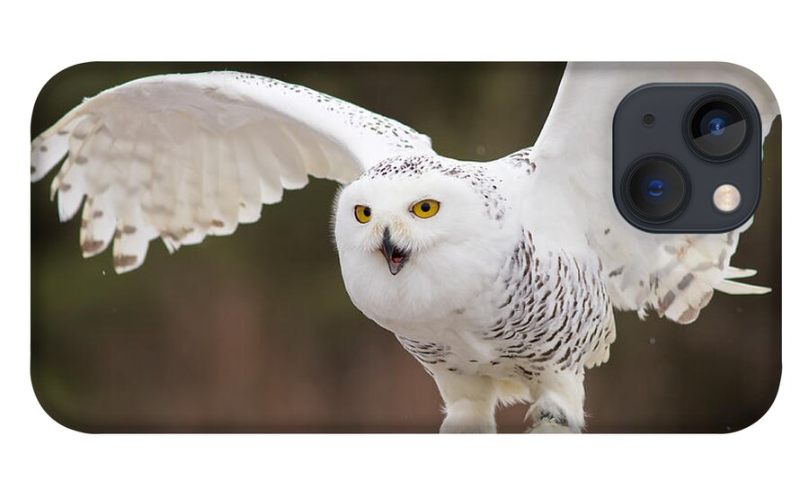 Snowy iPhone 13 Case featuring the photograph Snowy Owl #2 by Les Palenik