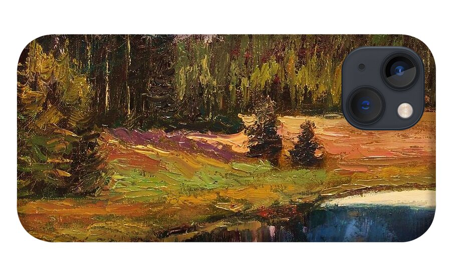 Sean Wu iPhone 13 Case featuring the painting Pond by Sean Wu